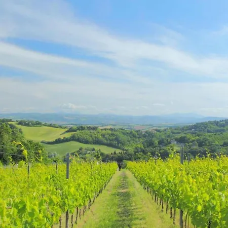 Appartamento Relaxing Retreat In Le Marche *